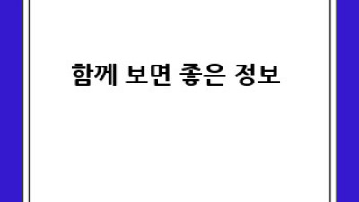 ✨ 포켓몬상하 득템 후기! 안 사면 스라밸 망? 꿀팁 대방출! 🍯